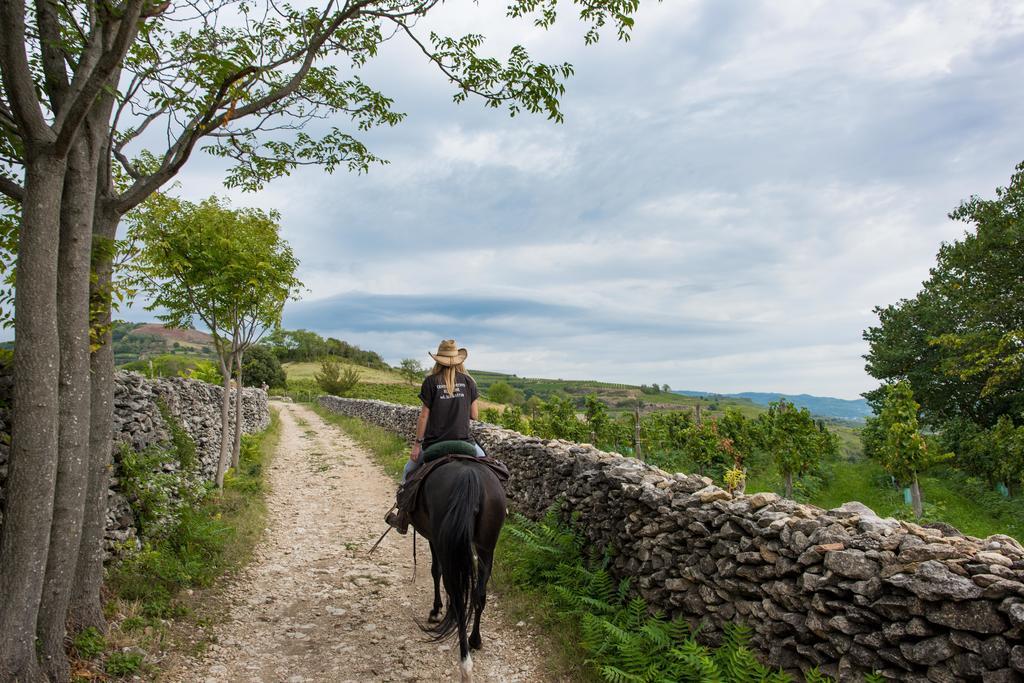 Casa Costa Relais B&B Monteforte d'Alpone ภายนอก รูปภาพ
