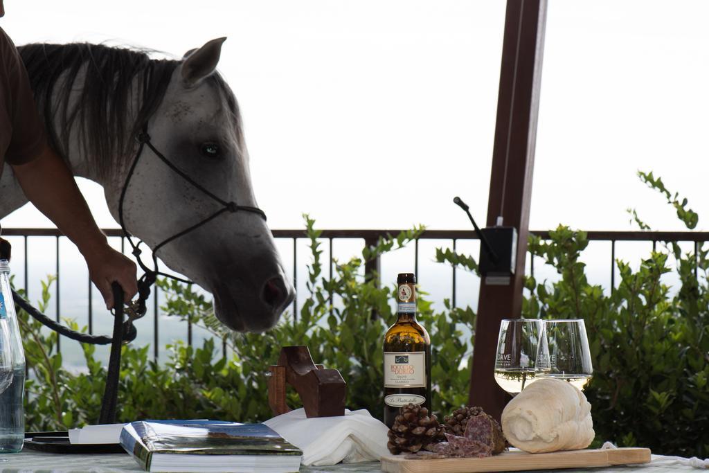 Casa Costa Relais B&B Monteforte d'Alpone ภายนอก รูปภาพ