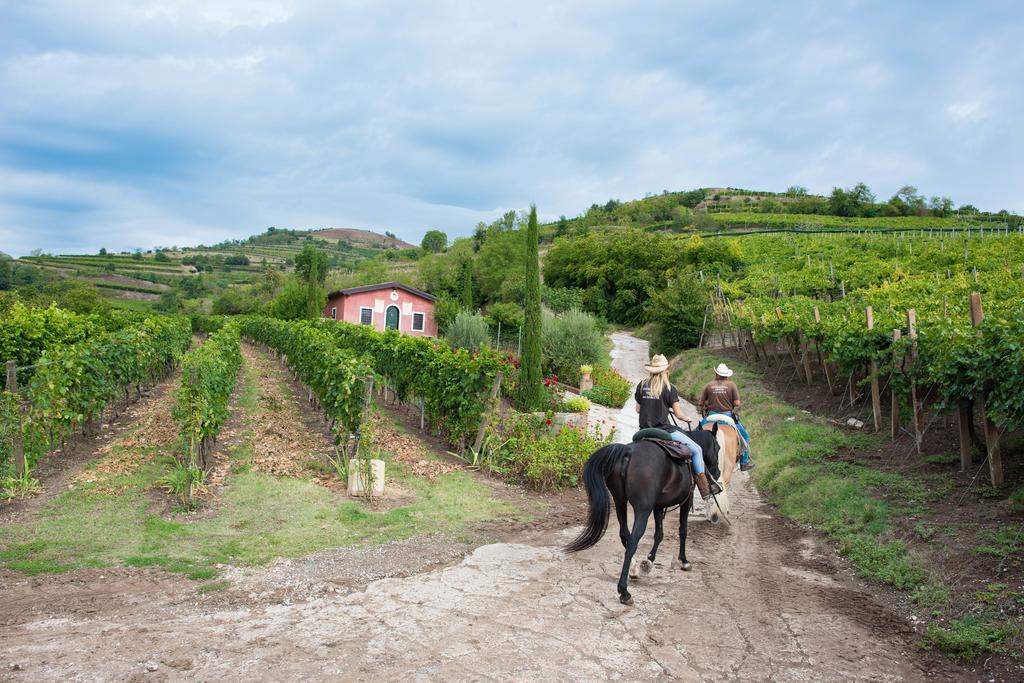 Casa Costa Relais B&B Monteforte d'Alpone ภายนอก รูปภาพ