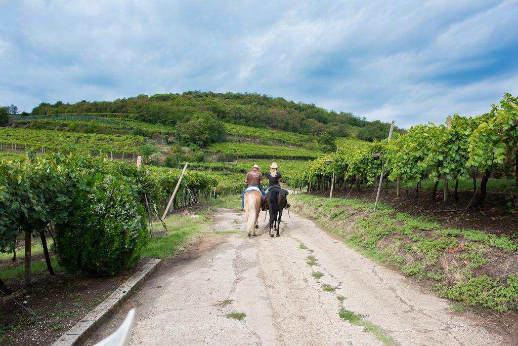 Casa Costa Relais B&B Monteforte d'Alpone ภายนอก รูปภาพ