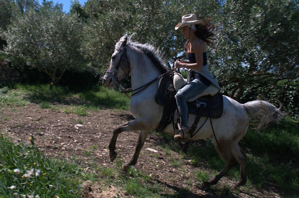 Casa Costa Relais B&B Monteforte d'Alpone ภายนอก รูปภาพ
