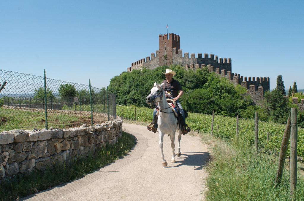 Casa Costa Relais B&B Monteforte d'Alpone ภายนอก รูปภาพ