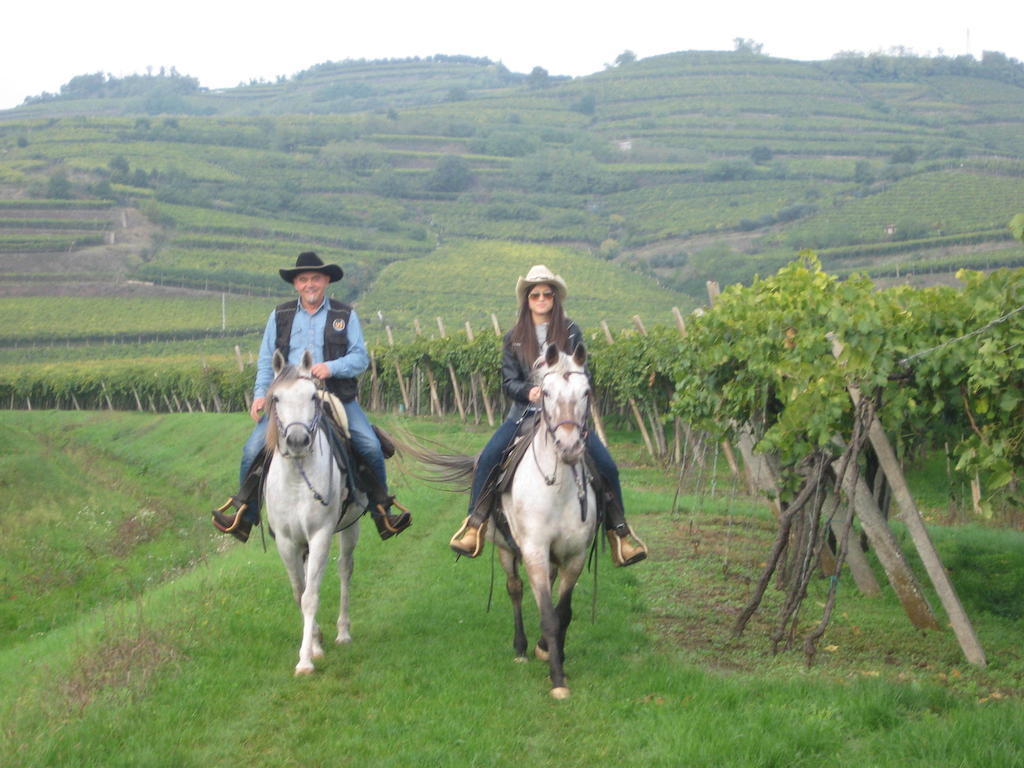 Casa Costa Relais B&B Monteforte d'Alpone ภายนอก รูปภาพ