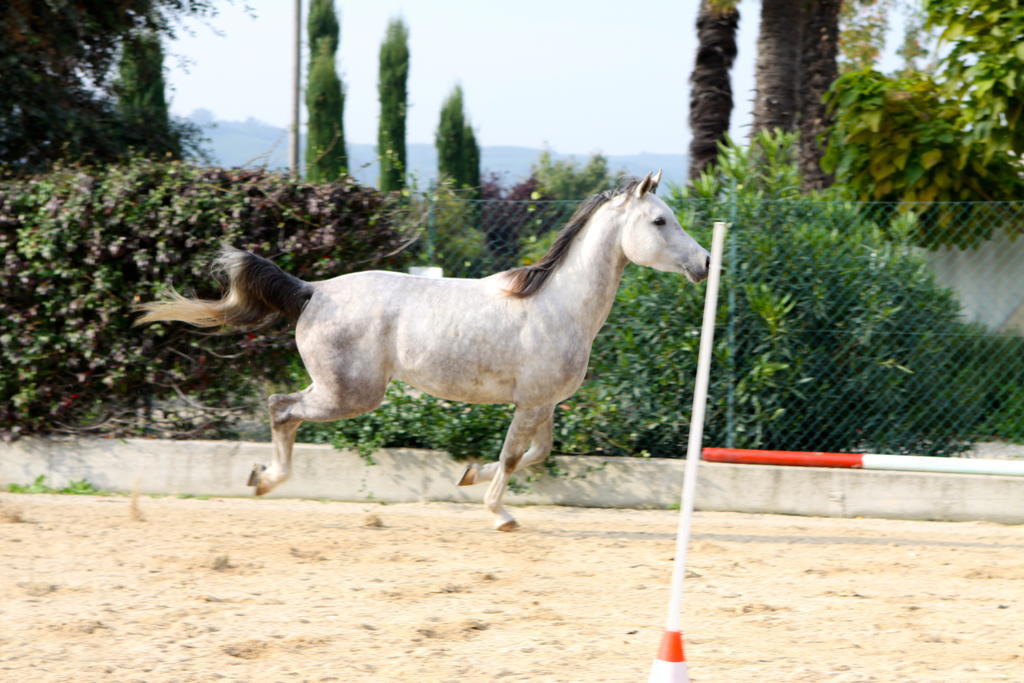 Casa Costa Relais B&B Monteforte d'Alpone ภายนอก รูปภาพ
