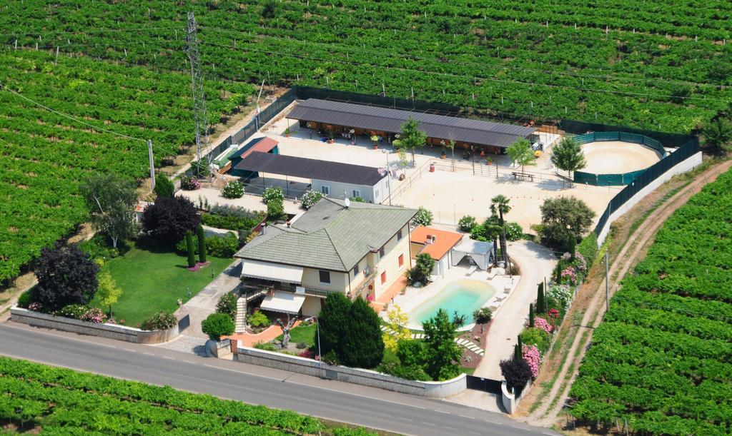 Casa Costa Relais B&B Monteforte d'Alpone ภายนอก รูปภาพ