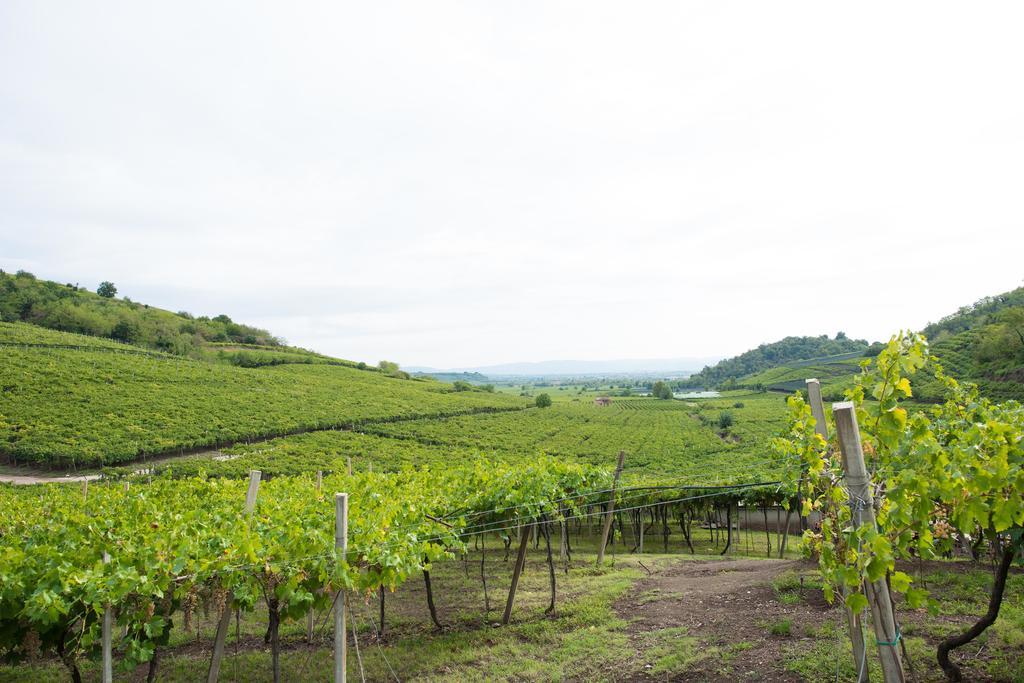 Casa Costa Relais B&B Monteforte d'Alpone ภายนอก รูปภาพ