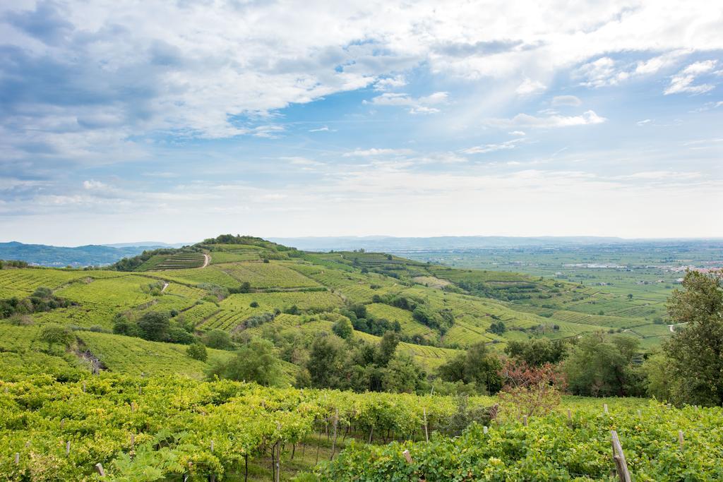 Casa Costa Relais B&B Monteforte d'Alpone ภายนอก รูปภาพ